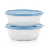 Set of 2 Refrigerator Storage Bowls